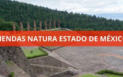 Tiendas Natura Estado de México Edo Méx Directorio Oficial